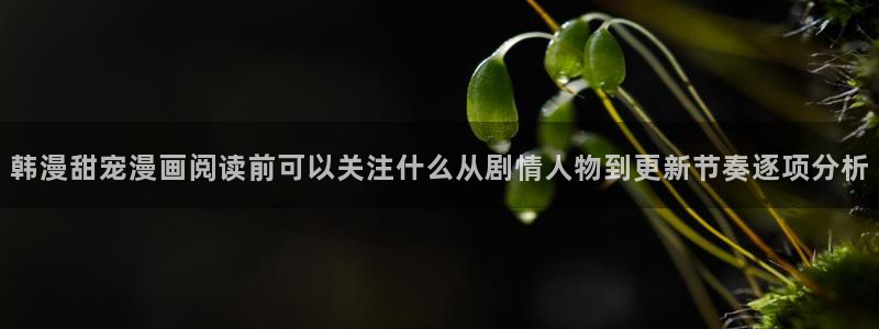 七七漫画人气榜：韩漫甜宠漫画阅读前可以关注什么从剧情人物到更新节奏逐项分析